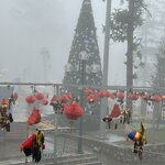 Photo taken by Susan R