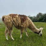 Photo taken by Jeanette C