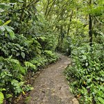 Photo taken by Mark S