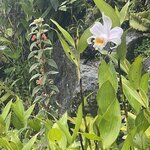 Photo taken by Alexia M