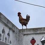 Photo taken by Donna F