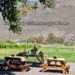 Photo taken by Colleen B