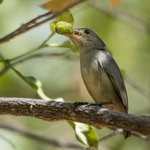 Photo taken by Graham D