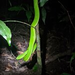 Photo taken by Alda Bernice M