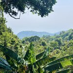 Photo taken by Nicole S