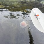 Photo taken by Lara N