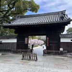 Photo taken by Norma M