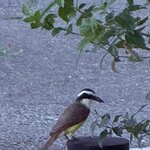 Photo taken by Bert B