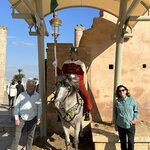 Photo taken by N.J. P