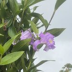 Photo taken by Kim L