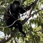 Photo taken by Robin W