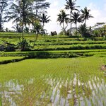 Photo taken by Laurence S