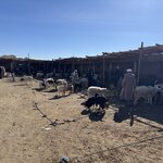 Photo taken by Sarah B