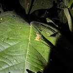 Photo taken by Breann B