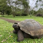 Photo taken by Kayla H