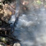 Photo taken by Pat K