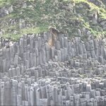 Photo taken by Daniel K