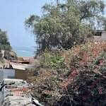 Photo taken by Stephanie S