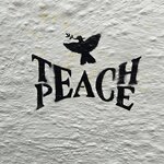 Photo taken by Sarah C