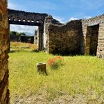 Photo taken by Elysa D