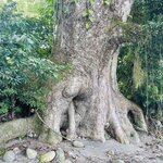 Photo taken by Blair H