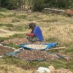 Photo taken by Melanie M