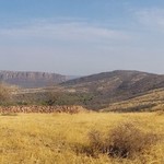 Safari | Photo taken by Ronnie B