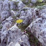 Photo taken by Margy C