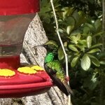 Photo taken by Bert B