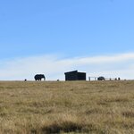 Photo taken by William R