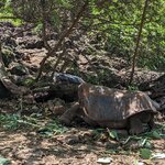 Photo taken by mimi s