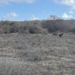 Photo taken by Gary W