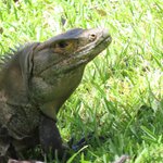 Photo taken by Wilbert A