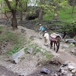 Hiking in Imlil | Photo taken by Maura S