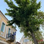 Photo taken by Colleen M