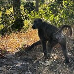 Photo taken by Michael Z