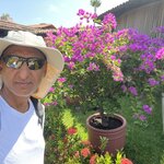 Photo taken by Vraj P