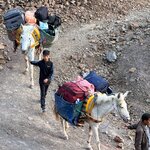 Photo taken by Bess K