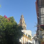 Photo taken by Ellyn A