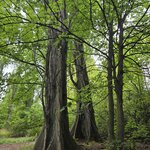 Photo taken by Ruth R