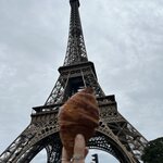 Photo taken by Theresa R