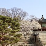 Photo taken by John K