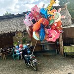 Photo taken by KLAUS A