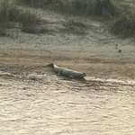 Photo taken by Wayne D