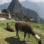 Photo taken by Jason P