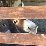 Photo taken by Allyson A