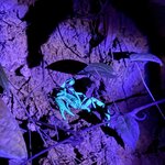 Photo taken by Edit M