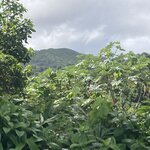 Photo taken by john b