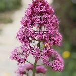 Photo taken by Anne W