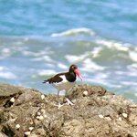 Photo taken by KLAUS A